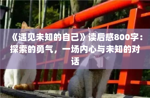 《遇见未知的自己》读后感800字：探索的勇气，一场内心与未知的对话