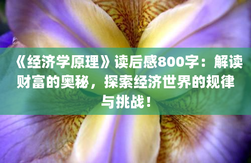 《经济学原理》读后感800字：解读财富的奥秘，探索经济世界的规律与挑战！