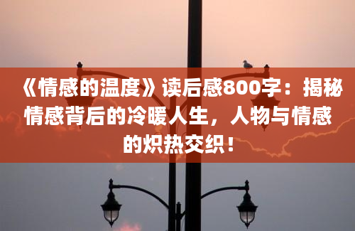 《情感的温度》读后感800字：揭秘情感背后的冷暖人生，人物与情感的炽热交织！