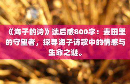 《海子的诗》读后感800字：麦田里的守望者，探寻海子诗歌中的情感与生命之谜。