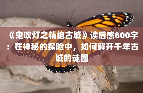 《鬼吹灯之精绝古城》读后感800字：在神秘的探险中，如何解开千年古城的谜团