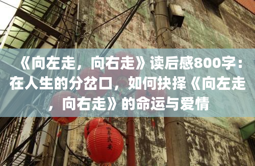 《向左走，向右走》读后感800字：在人生的分岔口，如何抉择《向左走，向右走》的命运与爱情