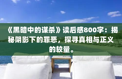 《黑暗中的谋杀》读后感800字：揭秘阴影下的罪恶，探寻真相与正义的较量。