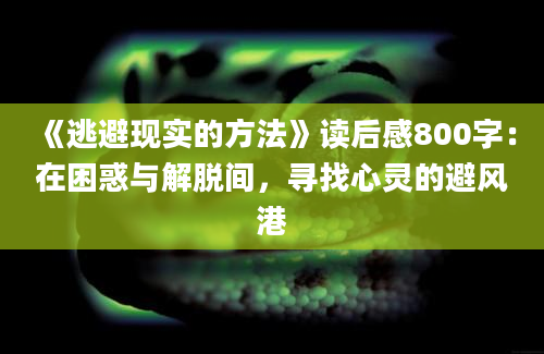 《逃避现实的方法》读后感800字：在困惑与解脱间，寻找心灵的避风港