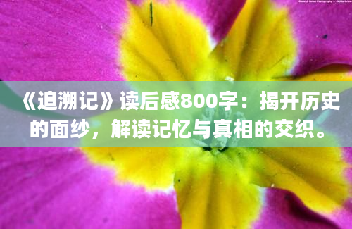 《追溯记》读后感800字：揭开历史的面纱，解读记忆与真相的交织。