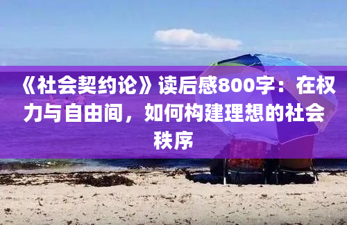 《社会契约论》读后感800字：在权力与自由间，如何构建理想的社会秩序