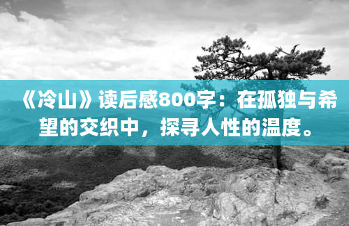 《冷山》读后感800字：在孤独与希望的交织中，探寻人性的温度。