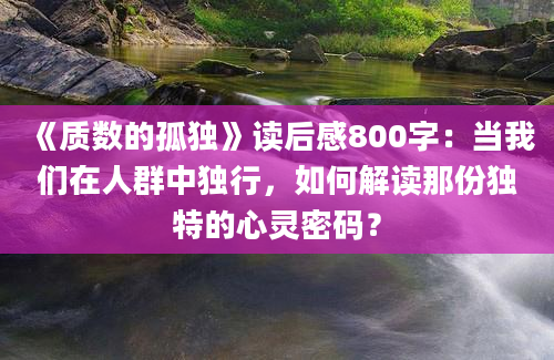 《质数的孤独》读后感800字：当我们在人群中独行，如何解读那份独特的心灵密码？