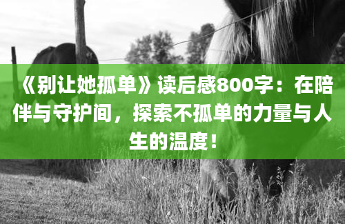 《别让她孤单》读后感800字：在陪伴与守护间，探索不孤单的力量与人生的温度！