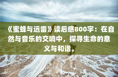 《蜜蜂与远雷》读后感800字：在自然与音乐的交响中，探寻生命的意义与和谐。