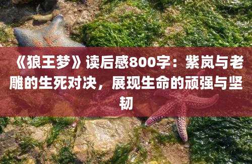 《狼王梦》读后感800字：紫岚与老雕的生死对决，展现生命的顽强与坚韧