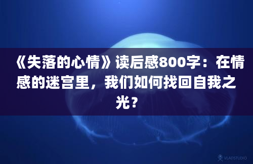 《失落的心情》读后感800字：在情感的迷宫里，我们如何找回自我之光？