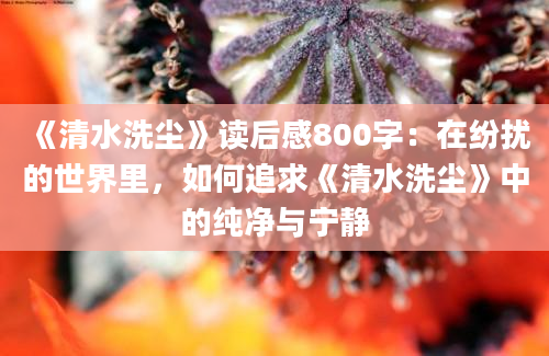 《清水洗尘》读后感800字：在纷扰的世界里，如何追求《清水洗尘》中的纯净与宁静