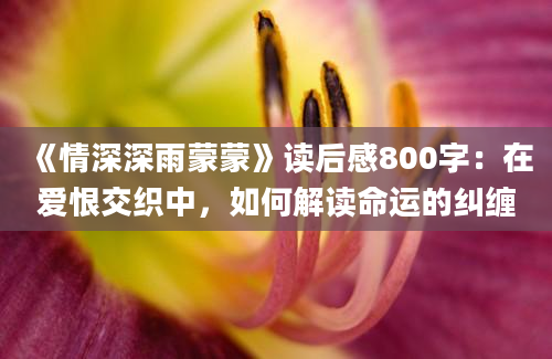 《情深深雨蒙蒙》读后感800字：在爱恨交织中，如何解读命运的纠缠