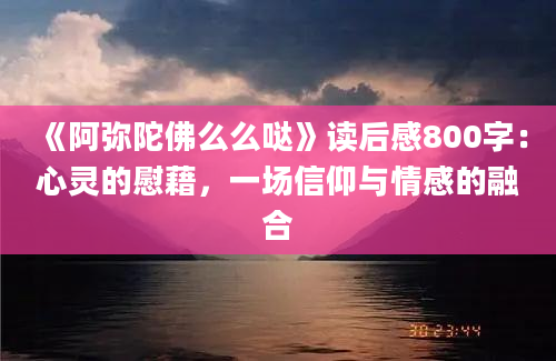 《阿弥陀佛么么哒》读后感800字：心灵的慰藉，一场信仰与情感的融合