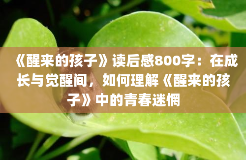 《醒来的孩子》读后感800字：在成长与觉醒间，如何理解《醒来的孩子》中的青春迷惘