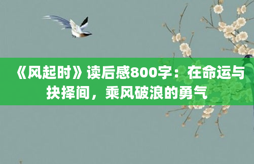 《风起时》读后感800字：在命运与抉择间，乘风破浪的勇气