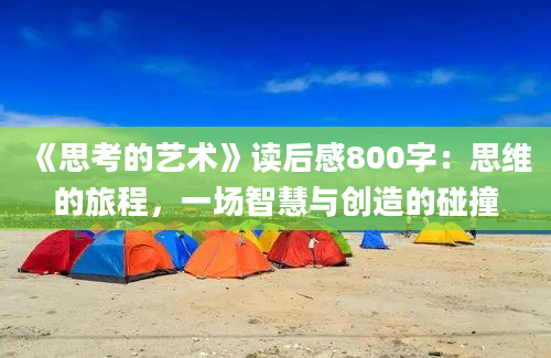 《思考的艺术》读后感800字：思维的旅程，一场智慧与创造的碰撞