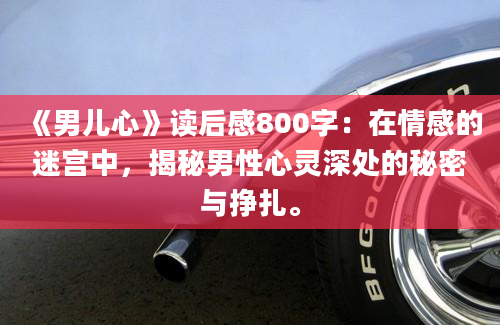 《男儿心》读后感800字：在情感的迷宫中，揭秘男性心灵深处的秘密与挣扎。