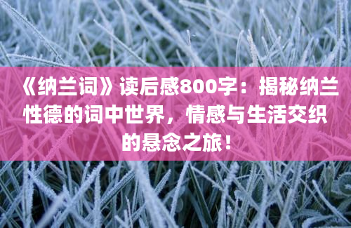 《纳兰词》读后感800字：揭秘纳兰性德的词中世界，情感与生活交织的悬念之旅！