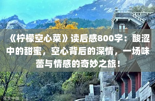 《柠檬空心菜》读后感800字：酸涩中的甜蜜，空心背后的深情，一场味蕾与情感的奇妙之旅！