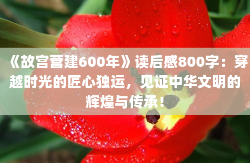 《故宫营建600年》读后感800字：穿越时光的匠心独运，见证中华文明的辉煌与传承！