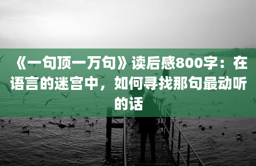 《一句顶一万句》读后感800字：在语言的迷宫中，如何寻找那句最动听的话