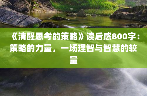 《清醒思考的策略》读后感800字：策略的力量，一场理智与智慧的较量