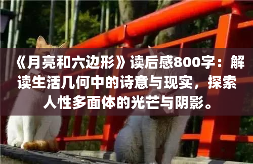 《月亮和六边形》读后感800字：解读生活几何中的诗意与现实，探索人性多面体的光芒与阴影。