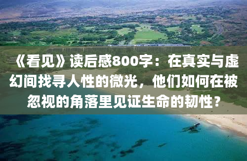 《看见》读后感800字：在真实与虚幻间找寻人性的微光，他们如何在被忽视的角落里见证生命的韧性？