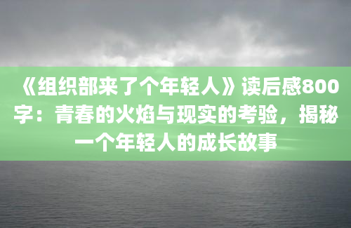 《组织部来了个年轻人》读后感800字：青春的火焰与现实的考验，揭秘一个年轻人的成长故事