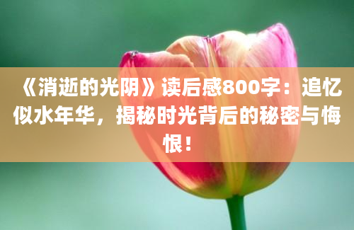 《消逝的光阴》<a href=https://www.baixuetang.com target=_blank class=infotextkey>读后感</a>800字：追忆似水年华，揭秘时光背后的秘密与悔恨！