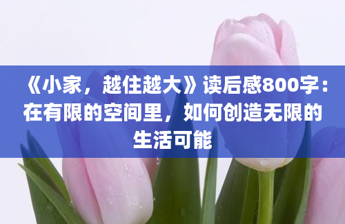 《小家，越住越大》读后感800字：在有限的空间里，如何创造无限的生活可能