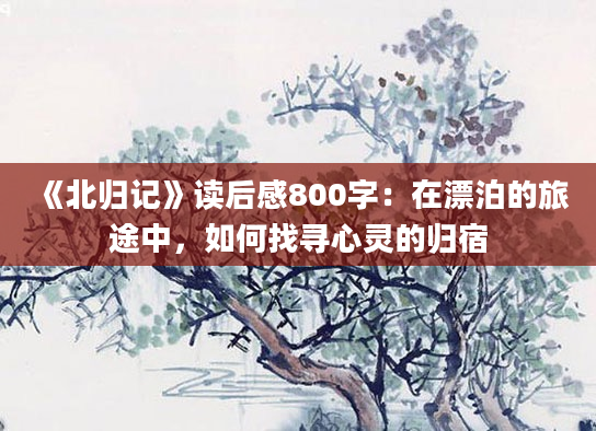 《北归记》<a href=https://www.baixuetang.com target=_blank class=infotextkey>读后感</a>800字：在漂泊的旅途中，如何找寻心灵的归宿