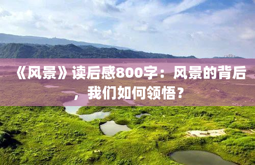 《风景》读后感800字：风景的背后，我们如何领悟？