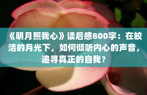 《明月照我心》读后感800字：在皎洁的月光下，如何倾听内心的声音，追寻真正的自我？