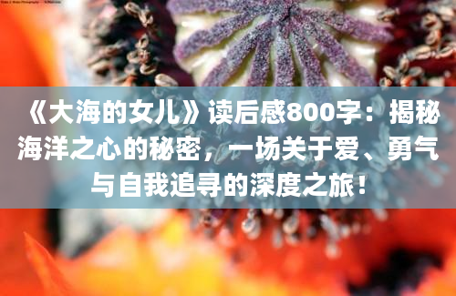 《大海的女儿》读后感800字：揭秘海洋之心的秘密，一场关于爱、勇气与自我追寻的深度之旅！