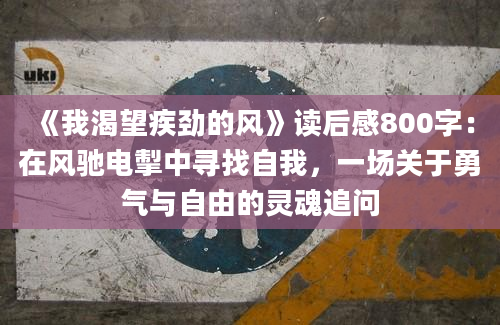 《我渴望疾劲的风》读后感800字：在风驰电掣中寻找自我，一场关于勇气与自由的灵魂追问