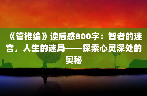 《管锥编》读后感800字：智者的迷宫，人生的迷局——探索心灵深处的奥秘