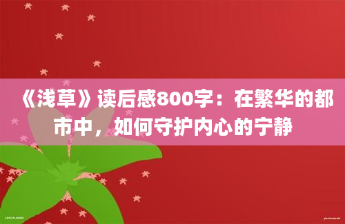 《浅草》读后感800字：在繁华的都市中，如何守护内心的宁静