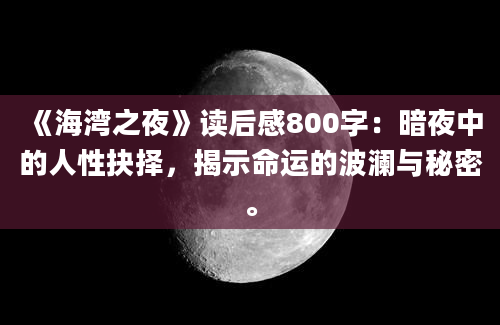 《海湾之夜》读后感800字：暗夜中的人性抉择，揭示命运的波澜与秘密。