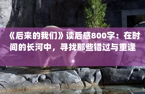 《后来的我们》读后感800字：在时间的长河中，寻找那些错过与重逢。