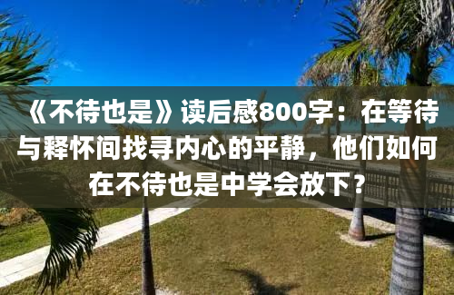 《不待也是》读后感800字：在等待与释怀间找寻内心的平静，他们如何在不待也是中学会放下？