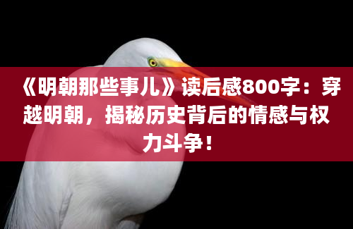 《明朝那些事儿》读后感800字：穿越明朝，揭秘历史背后的情感与权力斗争！