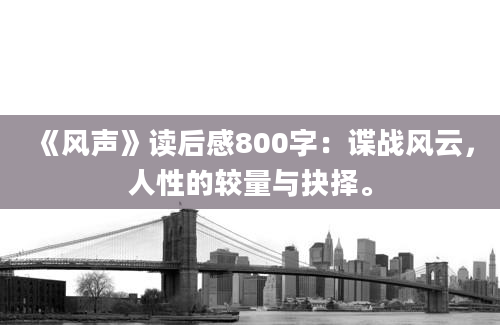 《风声》读后感800字：谍战风云，人性的较量与抉择。