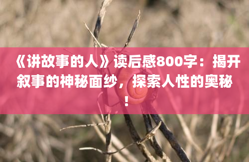 《讲故事的人》读后感800字：揭开叙事的神秘面纱，探索人性的奥秘！