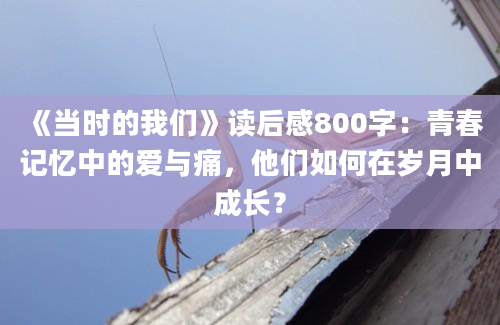 《当时的我们》读后感800字：青春记忆中的爱与痛，他们如何在岁月中成长？