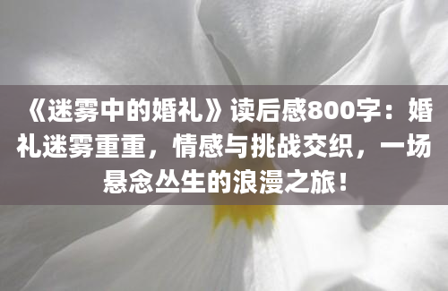 《迷雾中的婚礼》读后感800字：婚礼迷雾重重，情感与挑战交织，一场悬念丛生的浪漫之旅！