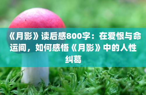 《月影》读后感800字：在爱恨与命运间，如何感悟《月影》中的人性纠葛