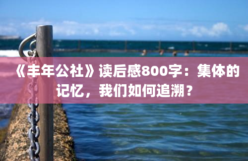 《丰年公社》读后感800字：集体的记忆，我们如何追溯？